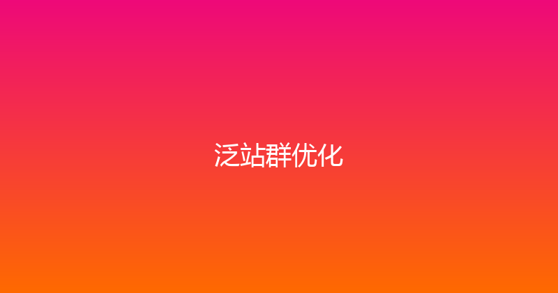 泛站群优化 封面图