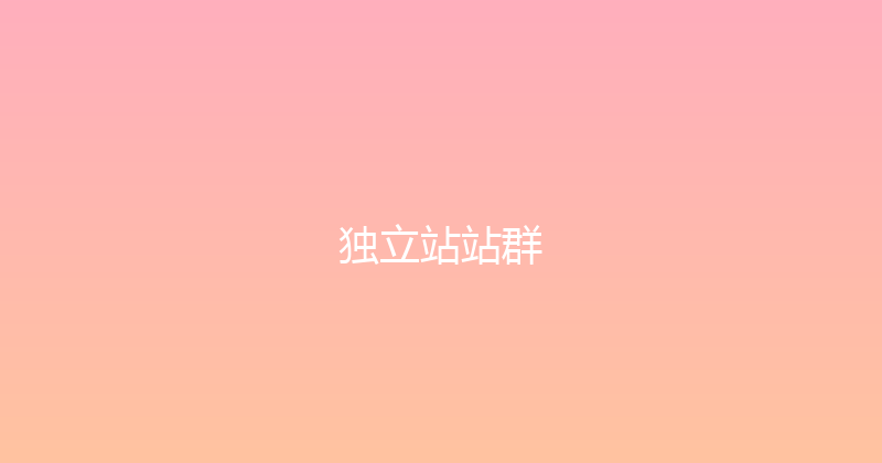 独立站站群 封面图