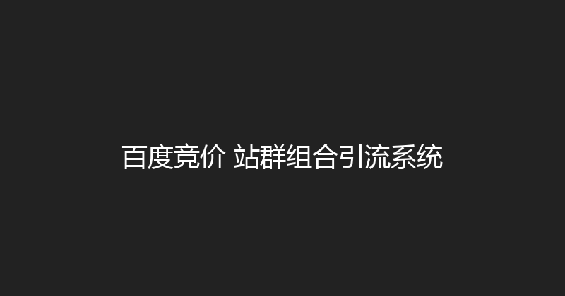 百度竞价+站群组合引流系统 封面图