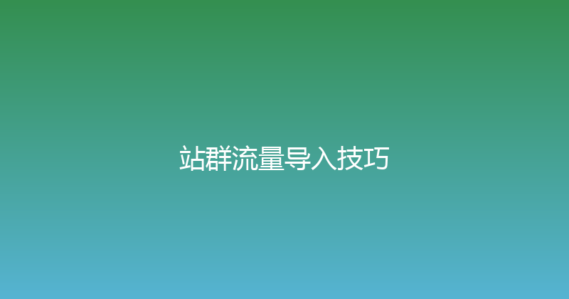 站群流量导入技巧 封面图