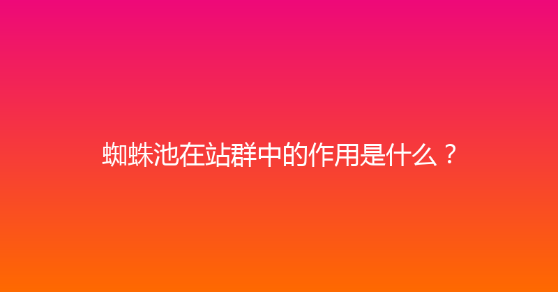 蜘蛛池在站群中的作用是什么？ 封面图