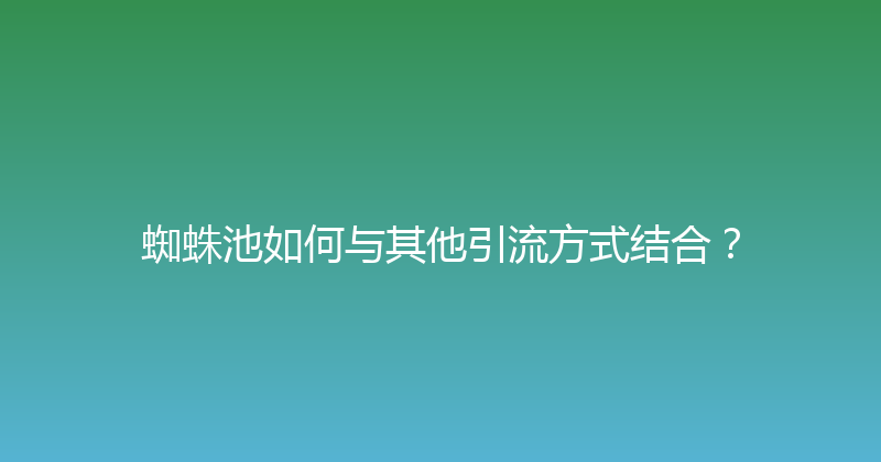 蜘蛛池如何与其他引流方式结合？ 封面图