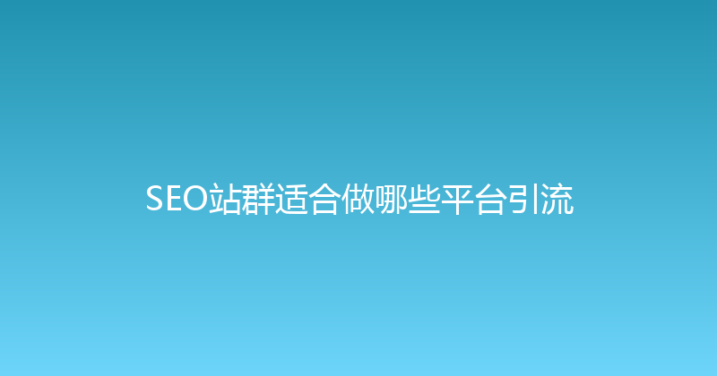 SEO站群适合做哪些平台引流 封面图